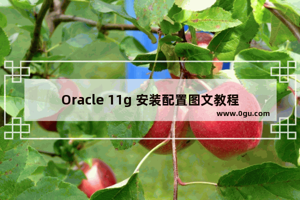 Oracle 11g 安装配置图文教程