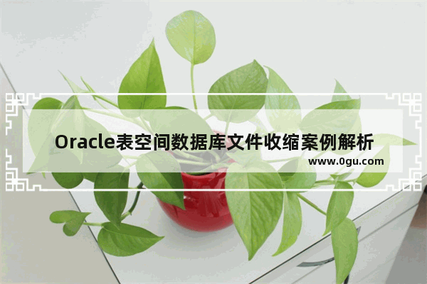 Oracle表空间数据库文件收缩案例解析