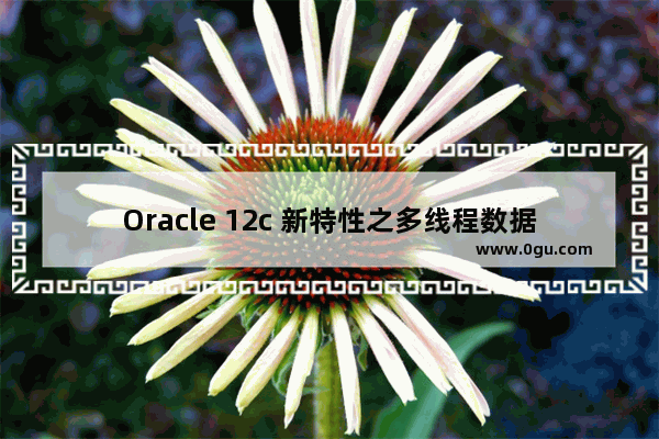 Oracle 12c 新特性之多线程数据库操作