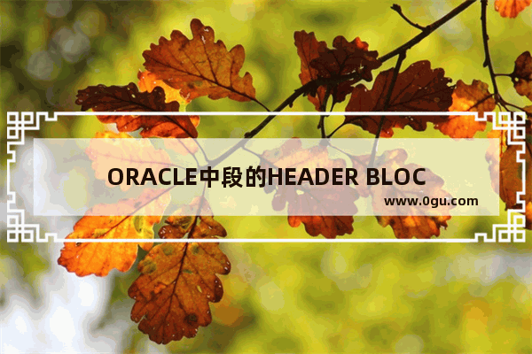 ORACLE中段的HEADER BLOCK示例详析