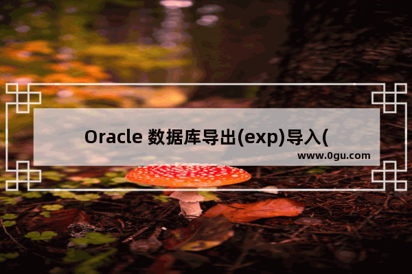 Oracle 数据库导出(exp)导入(imp)说明