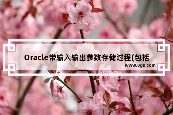 Oracle带输入输出参数存储过程(包括sql分页功能)