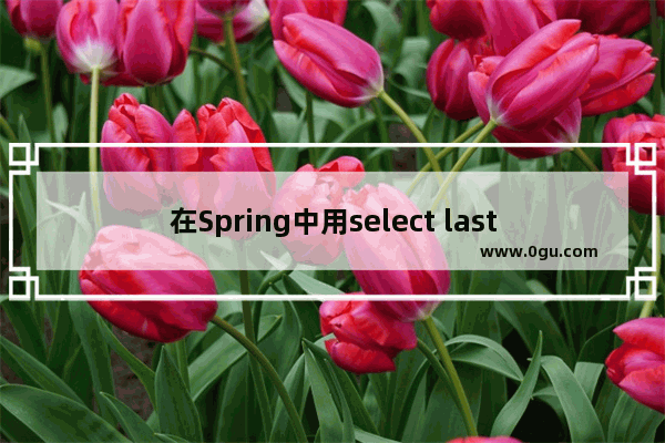 在Spring中用select last insert id()时遇到问题