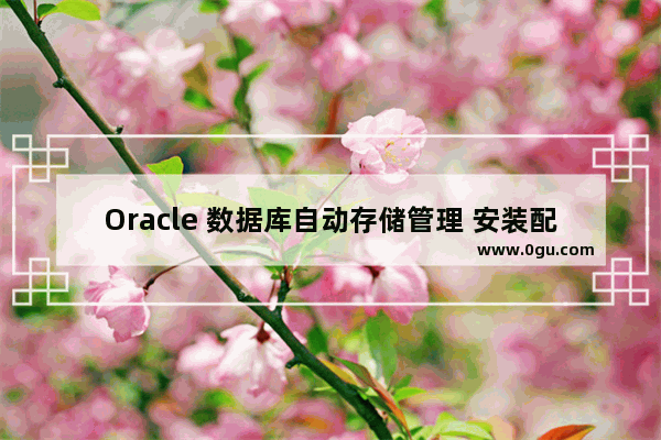 Oracle 数据库自动存储管理 安装配置