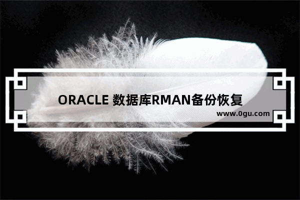 ORACLE 数据库RMAN备份恢复