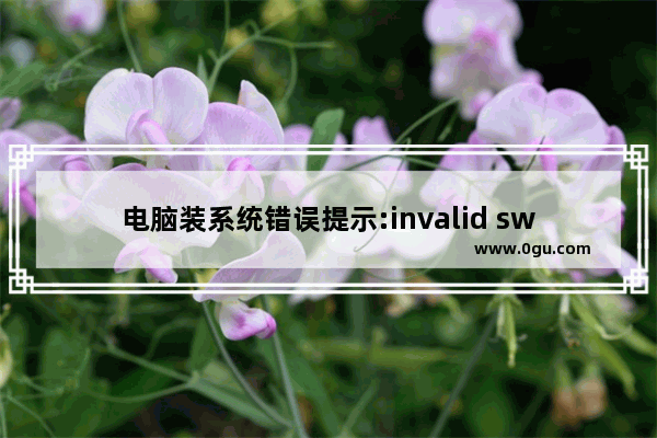 电脑装系统错误提示:invalid switch fmount怎么办？