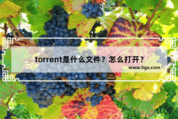 torrent是什么文件？怎么打开？