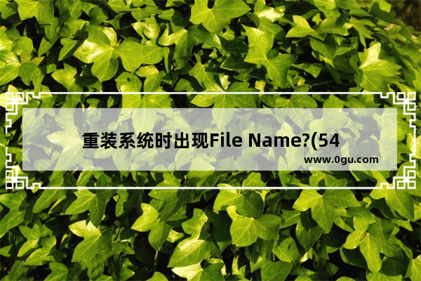 重装系统时出现File Name?(546)的错误该怎么解决？