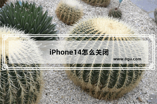 iPhone14怎么关闭灵动岛