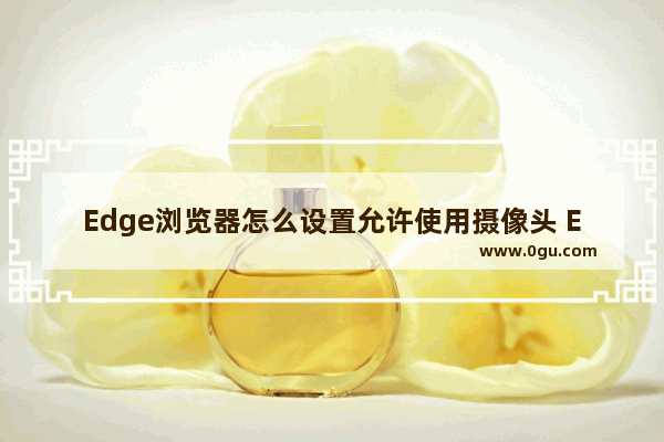 Edge浏览器怎么设置允许使用摄像头 Edge浏览器设置允许使用摄像头的方法