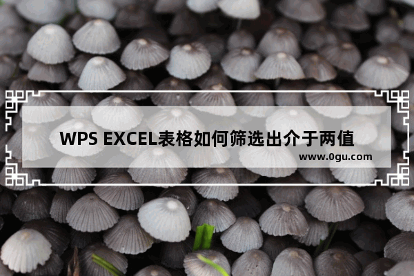 WPS EXCEL表格如何筛选出介于两值之间的数据 WPS Excel用颜色标记出介于两值之间的数据的方法