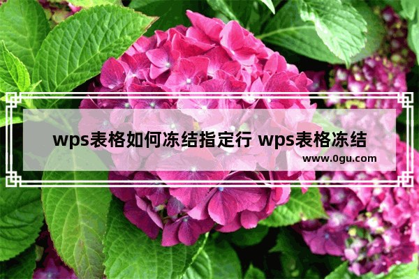 wps表格如何冻结指定行 wps表格冻结至第2行的方法