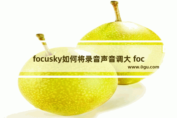 focusky如何将录音声音调大 focusky将录音声音调大的方法