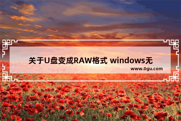 关于U盘变成RAW格式 windows无法格式化的解决方法