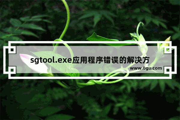 sgtool.exe应用程序错误的解决方法