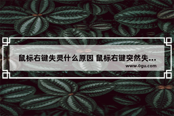 鼠标右键失灵什么原因 鼠标右键突然失灵问题分析与解决办法