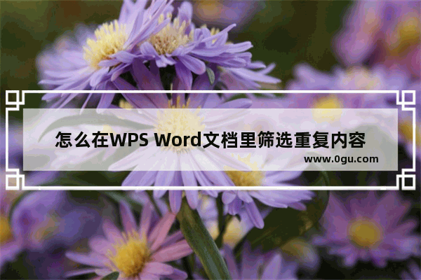 怎么在WPS Word文档里筛选重复内容 WPS Word文档快速查找重复内容的方法