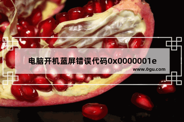 电脑开机蓝屏错误代码0x0000001e解决方法