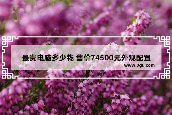 最贵电脑多少钱 售价74500元外观配置介绍