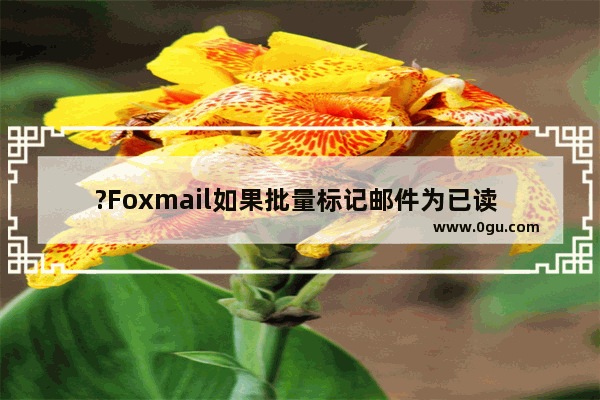 ?Foxmail如果批量标记邮件为已读 Foxmail邮箱中一次性将多封邮件标记为已读状态的方法教程