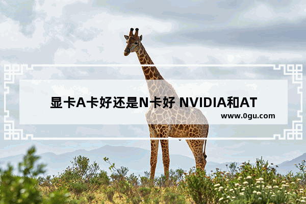 显卡A卡好还是N卡好 NVIDIA和ATI显卡选择