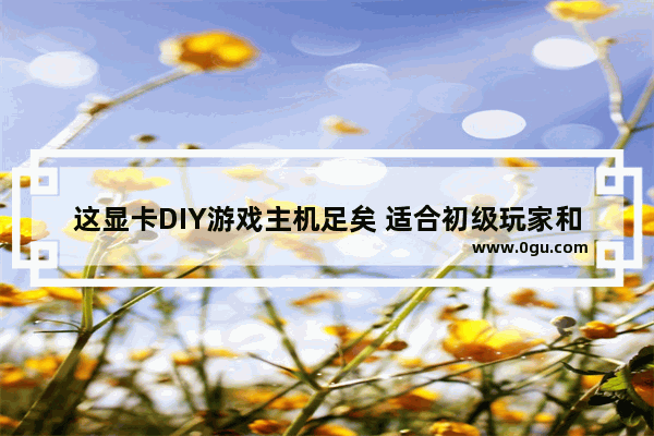 这显卡DIY游戏主机足矣 适合初级玩家和学生