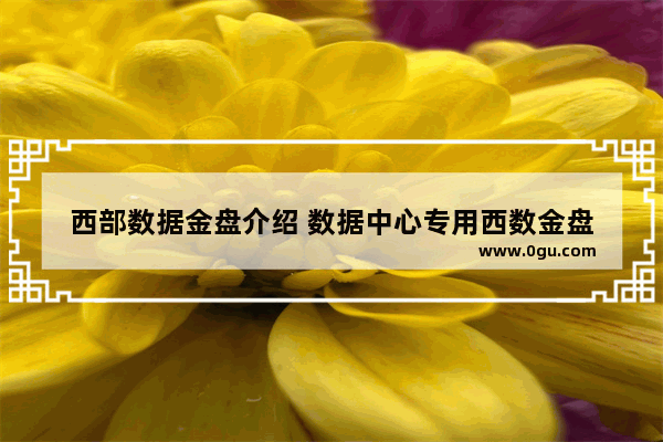 西部数据金盘介绍 数据中心专用西数金盘