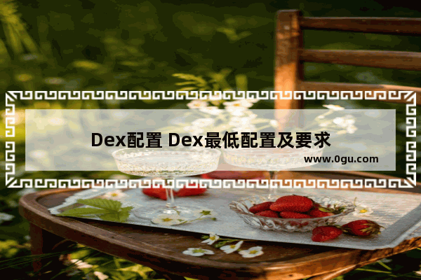 Dex配置 Dex最低配置及要求