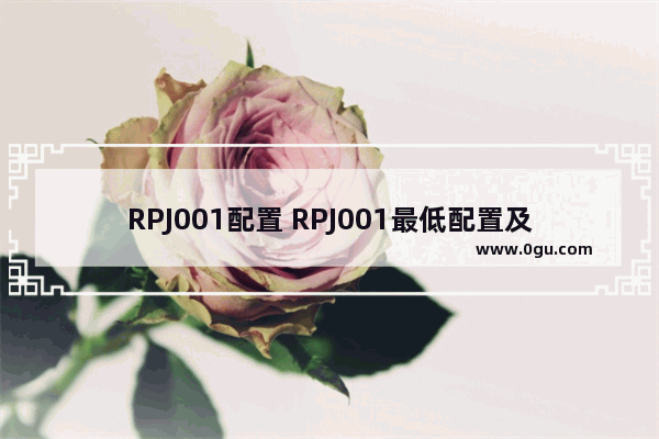 RPJ001配置 RPJ001最低配置及要求