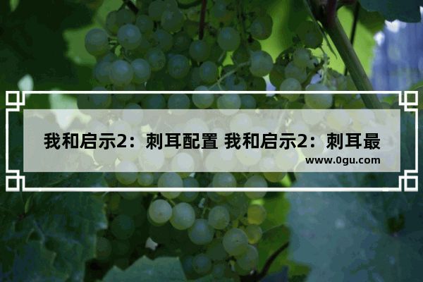 我和启示2：刺耳配置 我和启示2：刺耳最低配置及要求