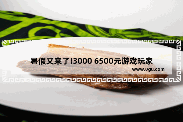 暑假又来了!3000 6500元游戏玩家配置推荐