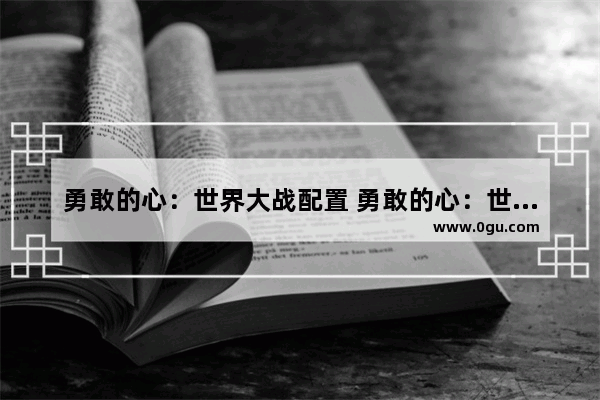 勇敢的心：世界大战配置 勇敢的心：世界大战最低配置及要求