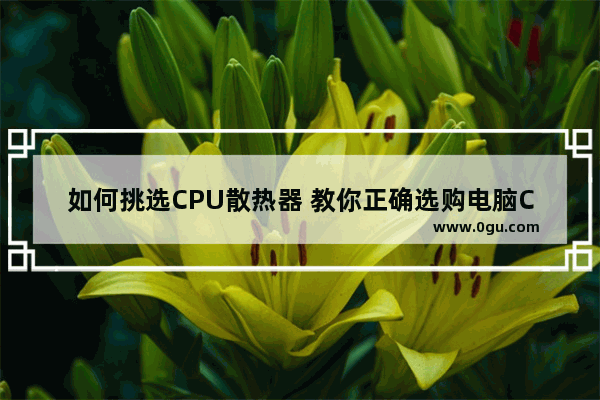 如何挑选CPU散热器 教你正确选购电脑CPU和散热器