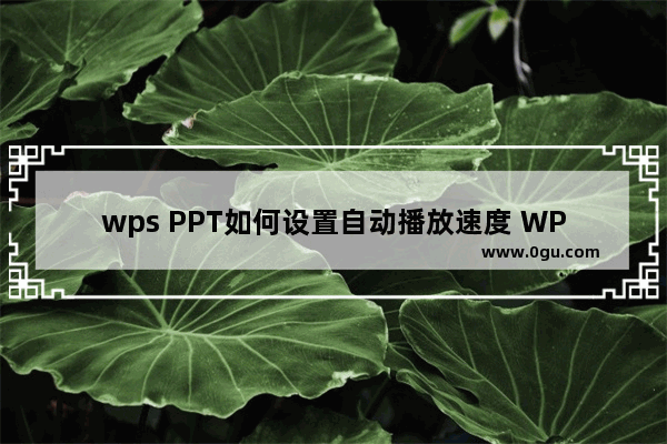 wps PPT如何设置自动播放速度 WPS PPT幻灯片设置自动播放速度的方法