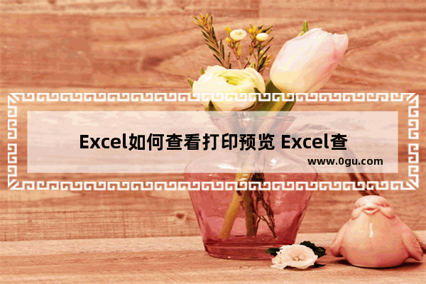 Excel如何查看打印预览 Excel查看打印预览的方法