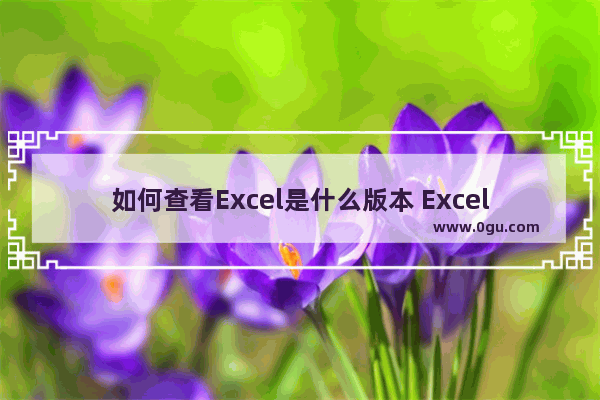 如何查看Excel是什么版本 Excel查看是什么版本的方法