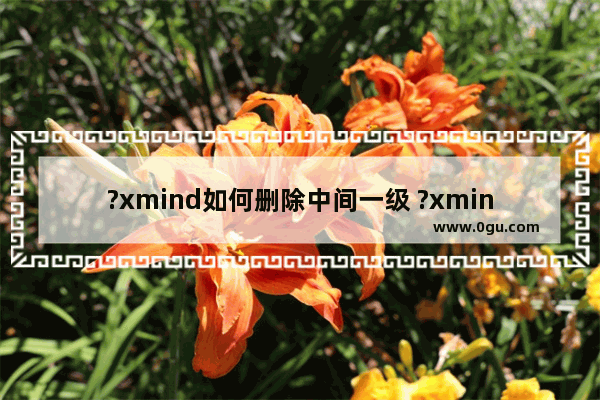 ?xmind如何删除中间一级 ?xmind删除中间的分支主题并保留后面内容的方法