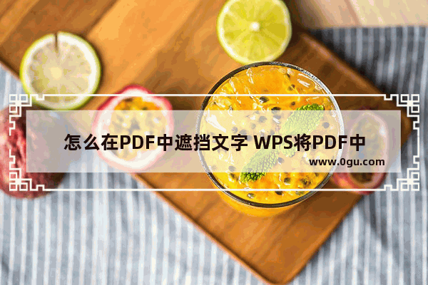 怎么在PDF中遮挡文字 WPS将PDF中的文字内容遮盖住的方法