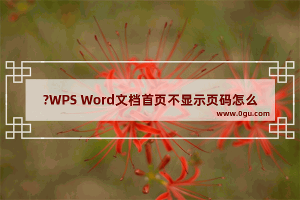 ?WPS Word文档首页不显示页码怎么设置 WPS文档中设置首页不要页码的方法教程