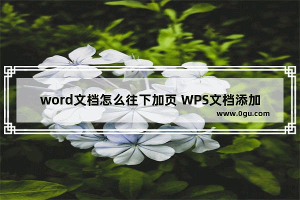 word文档怎么往下加页 WPS文档添加空白页面的方法