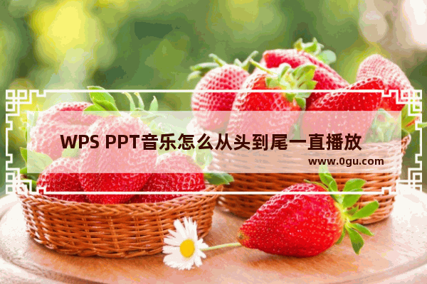 WPS PPT音乐怎么从头到尾一直播放 WPS PPT中设置音乐从头到尾进行播放的方法