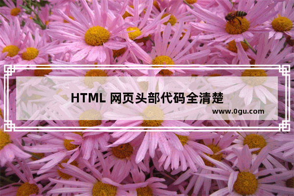 HTML 网页头部代码全清楚