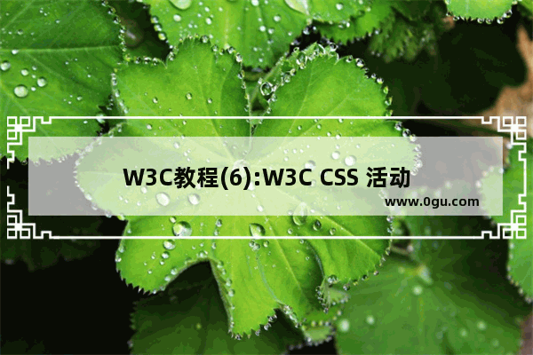 W3C教程(6):W3C CSS 活动