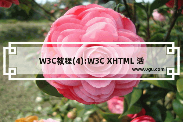 W3C教程(4):W3C XHTML 活动