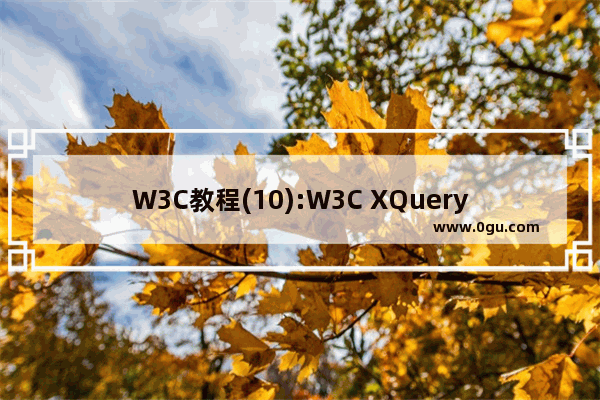 W3C教程(10):W3C XQuery 活动