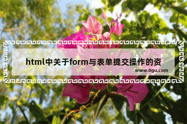 html中关于form与表单提交操作的资料集合