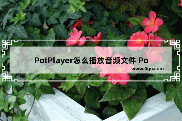 PotPlayer怎么播放音频文件 PotPlayer播放音频文件的方法