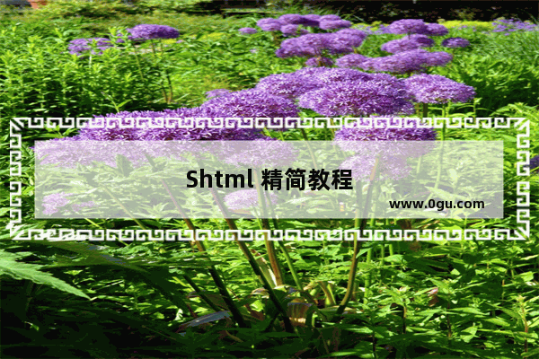 Shtml 精简教程