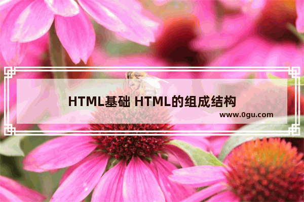 HTML基础 HTML的组成结构