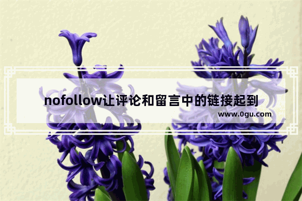 nofollow让评论和留言中的链接起到真正的作用